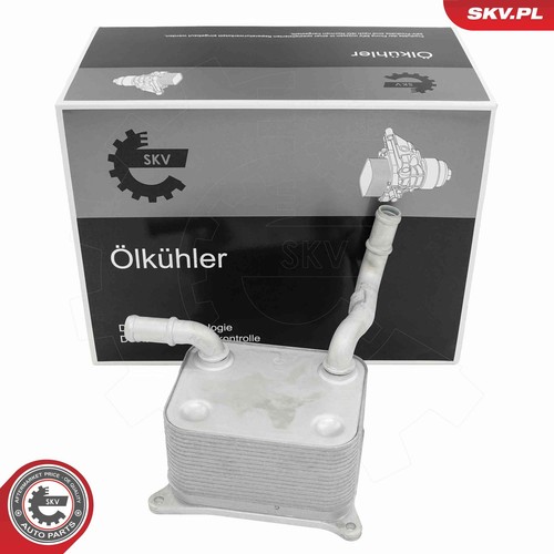 Radiatore olio - radiatore, motore